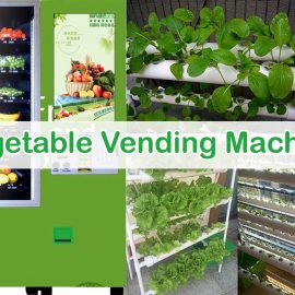 Vegetable Vending Machine