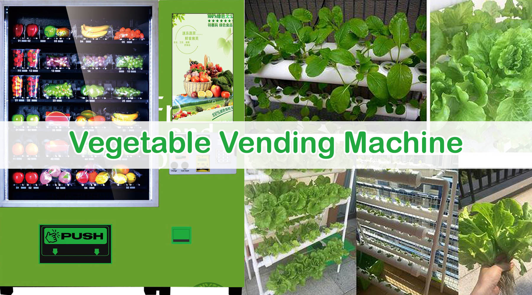 Vegetable vending deals