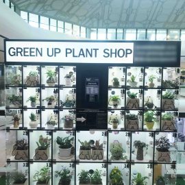 Plant vending machine