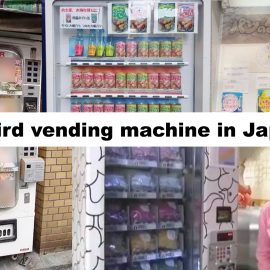 Japanese vending machine series 3